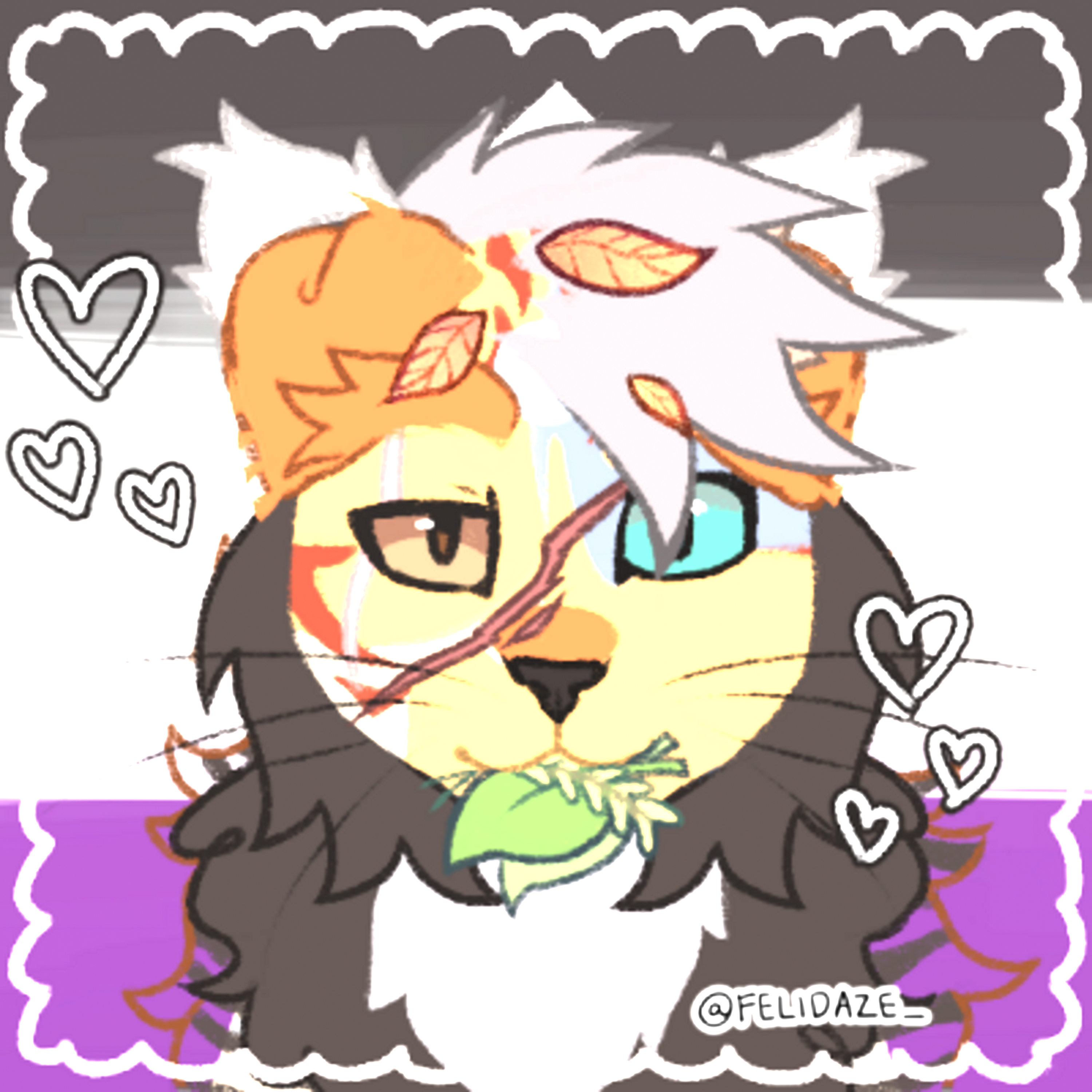 midnight doodle