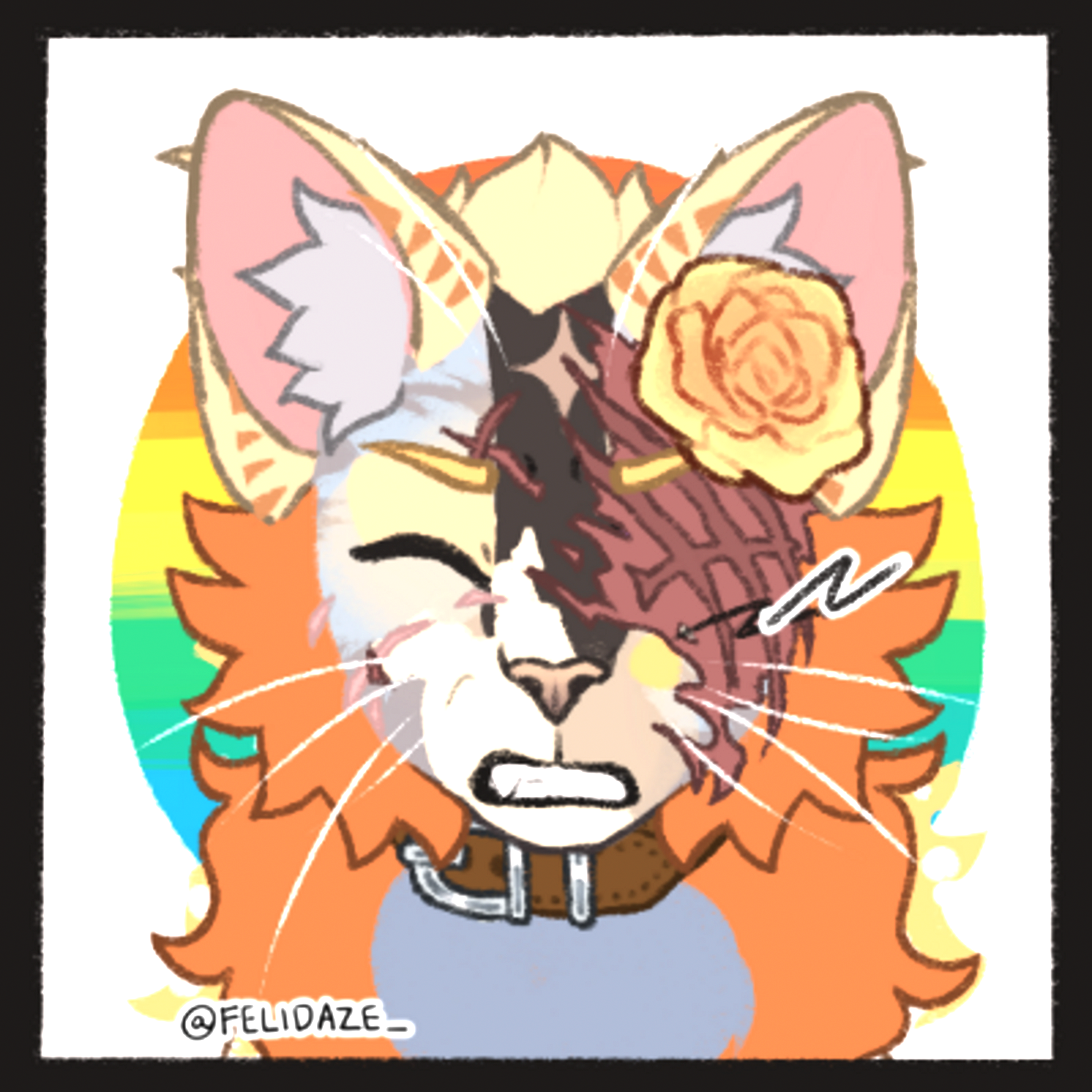 midnight doodle